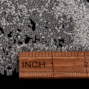 TOHO® przezroczyste koraliki 11/0 (2mm), 10g (ok. 820szt)